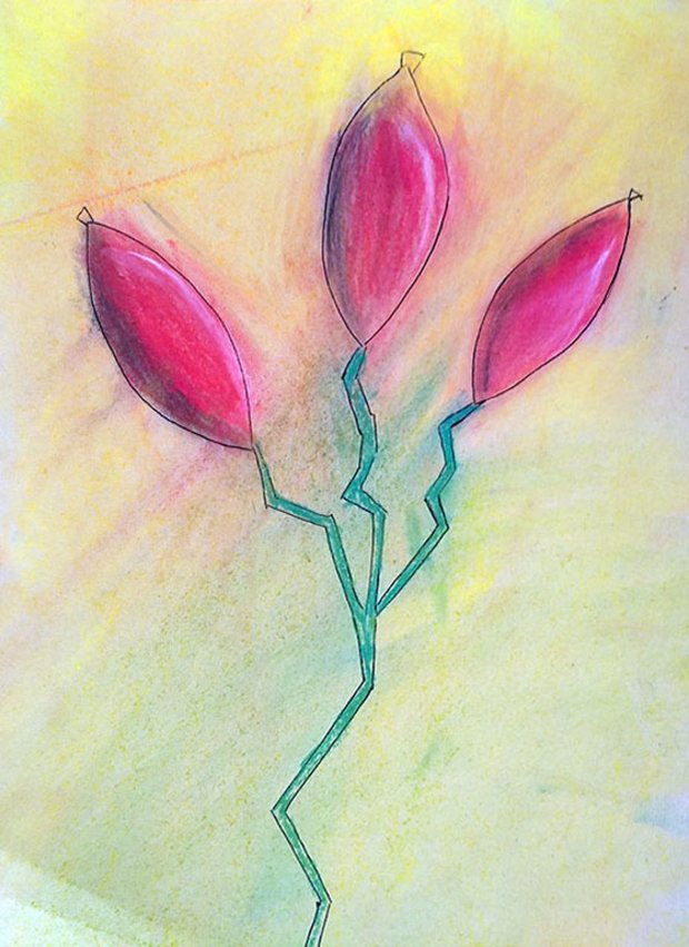 Blume mit drei Blüten